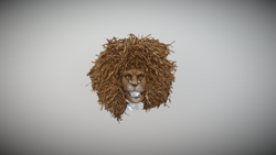 02-778-Rokanis-Liontari
