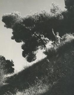 YE1953_03R03_PH013