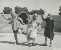 YE1964_05_PH003