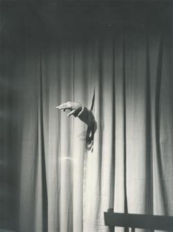 YE1973_12_PH022