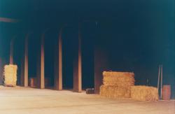 YE1993_13_PH015
