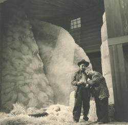 YE1951_01_PH007